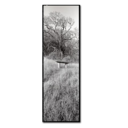 Alan Blaustein 'Novato Oak' Canvas Art,16x47